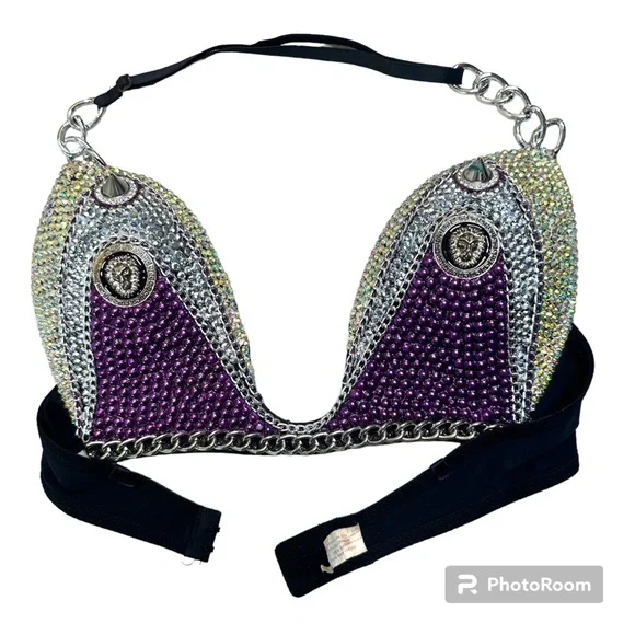 Silver & Purple Rhinestone Decorated Bra 34C - Picture 2 of 10